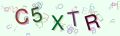 This is a captcha-picture. It is used to prevent mass-access by robots. (see: www.captcha.net)