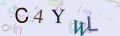 This is a captcha-picture. It is used to prevent mass-access by robots. (see: www.captcha.net)
