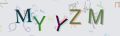 This is a captcha-picture. It is used to prevent mass-access by robots. (see: www.captcha.net)